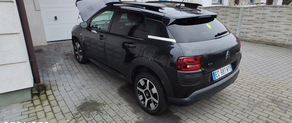 Citroen C4 Cactus cena 24250 przebieg: 219966, rok produkcji 2016 z Brok małe 407
